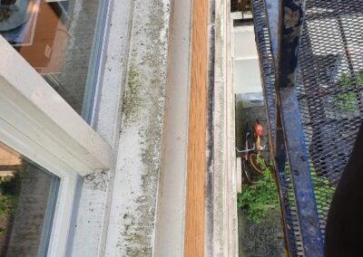 Glazenwasserij en schoonmaakbedrijf de la Porte